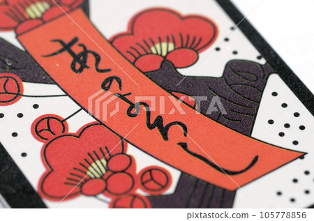 A flower card 105778856