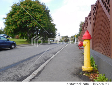 Iceland Summer Akureyri Fire Hydrant 105778937