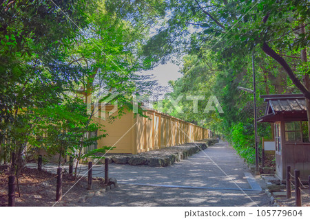 Landscape of Kokoro no Omichi in summer 105779604