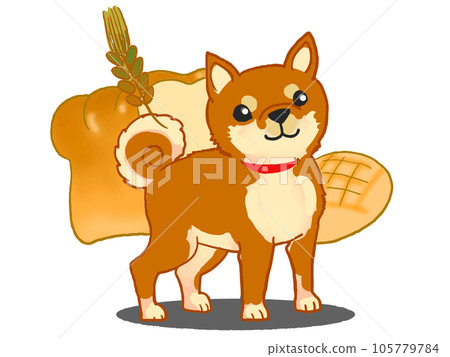 麵包和柴犬 麵包和柴犬 105779784