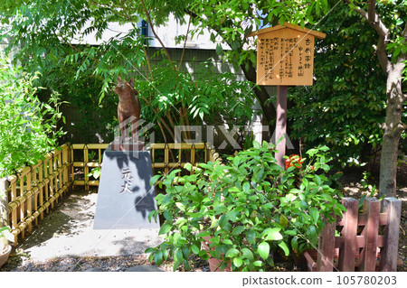 Former dog statue at Kuramae Shrine (Kuramae, Taito Ward, Tokyo) 105780203