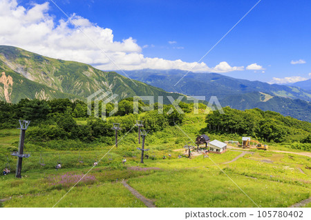 Goryu Alpine Botanical Garden in full bloom Goryu Alpine Botanical Garden in full bloom 105780402