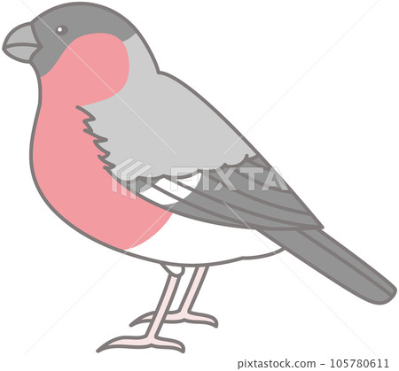 Liar wild bird illustration material sideways 105780611