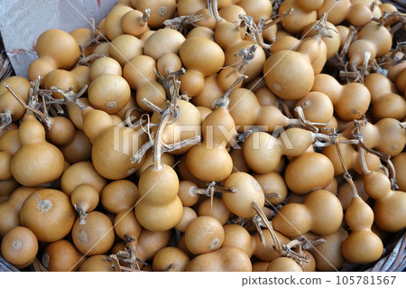 Piles of Harvested dried Calabash, Lagenaria siceraria, Bottle Gourd, or Flowered Gourd at local market Piles of Harvested dried Calabash, Lagenaria siceraria, Bottle Gourd, or Flowered Gourd at local market 105781567