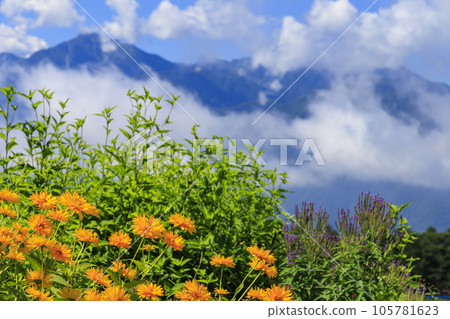 Fujimi Kogen Resort Romance Area in full bloom Fujimi Kogen Resort Romance Area in full bloom 105781623