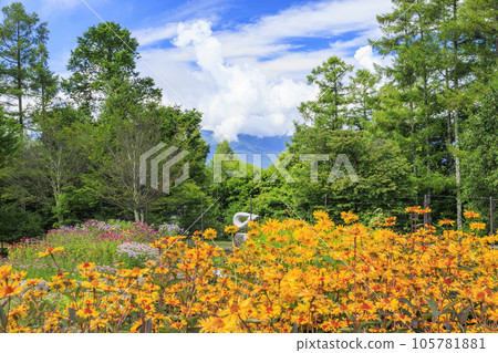 Fujimi Kogen Resort rock garden in full bloom Fujimi Kogen Resort rock garden in full bloom 105781881