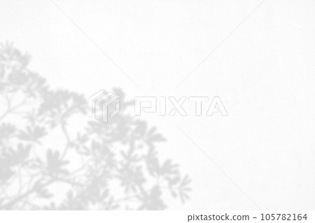 leaf shadows on a white wall 105782164