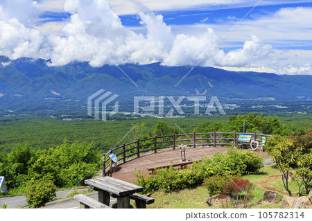 富士見高原度假村蘇藏之森盛開 富士見高原度假村蘇藏之森盛開 105782314