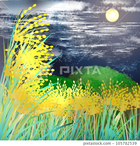 滿月照亮的稻穗 105782539