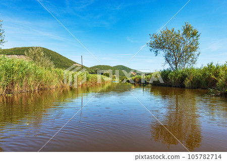 Massaciuccoli Lake with Green Reeds - Tuscany Italy Europe 105782714