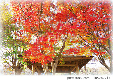公園長廊，透過色彩鮮豔的秋葉，可以看到涼亭的屋頂（插畫風格） 105782715