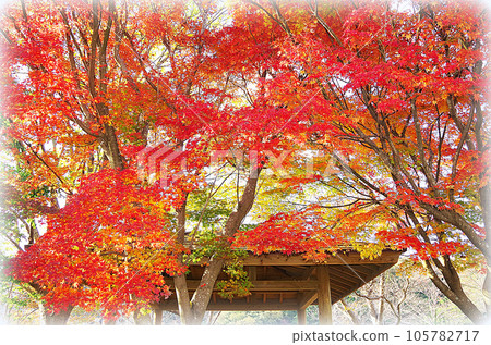 Park promenade where you can see the roof of the pavilion beyond the brightly colored autumn leaves (illustration style) Park promenade where you can see the roof of the pavilion beyond the brightly colored autumn leaves (illustration style) 105782717