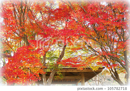 Park promenade where you can see the roof of the pavilion beyond the brightly colored autumn leaves (illustration style) Park promenade where you can see the roof of the pavilion beyond the brightly colored autumn leaves (illustration style) 105782718