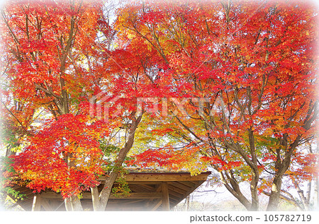 Park promenade where you can see the roof of the pavilion beyond the brightly colored autumn leaves (illustration style) Park promenade where you can see the roof of the pavilion beyond the brightly colored autumn leaves (illustration style) 105782719