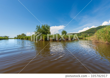 Massaciuccoli Lake with Green Reeds - Tuscany Italy Europe 105782917