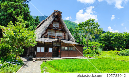 Suganuma Gassho-zukuri village in Gokayama in summer Suganuma Gassho-zukuri village in Gokayama in summer 105783042