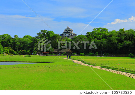 [岡山縣] 陽光明媚的後樂園和岡山城（令和大整修後） 105783520