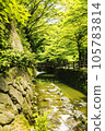 AI image moat and fresh green 105783814