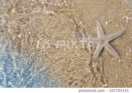 美麗的海星和白色沙灘的形象 105784181