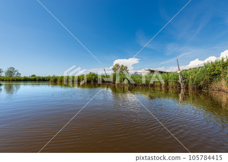 Lake Massaciuccoli with Green Reeds in Tuscany Italy Europe 105784415