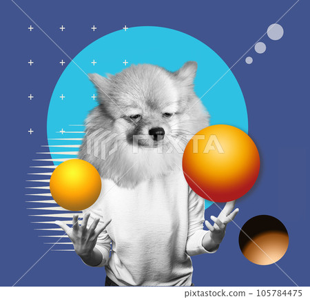 Contemporary art collage or portrait of surprised dog headed woman. 105784475