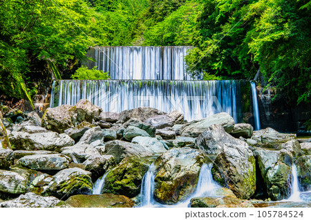 Yasui Valley, Kochi - Fresh green Niyodo River erosion control dam - Yasui Valley, Kochi - Fresh green Niyodo River erosion control dam - 105784524