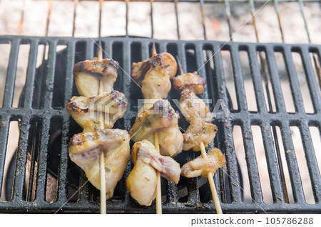 [Solo camping at an auto campsite, grilling yakitori on a bonfire] 105786288