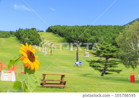 Tateshina Ranch Gondola & Gosensui Nature Park 105786595