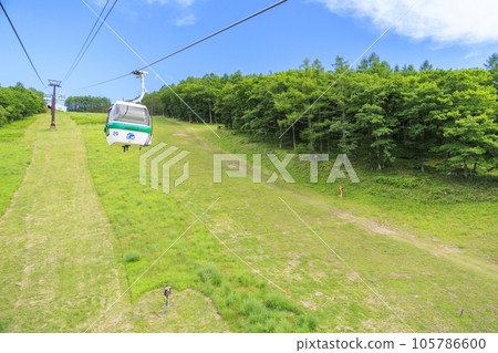 蓼科牧場纜車和禦仙水自然公園 蓼科牧場纜車和禦仙水自然公園 105786600