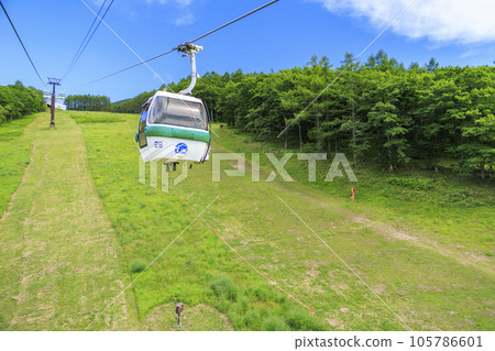 蓼科牧場纜車和禦仙水自然公園 105786601