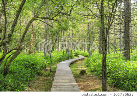 Tateshina Ranch Gondola & Gosensui Nature Park Tateshina Ranch Gondola & Gosensui Nature Park 105786622