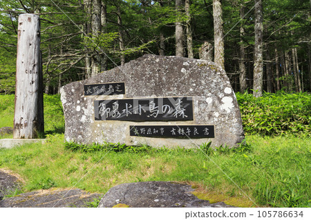 Tateshina Ranch Gondola & Gosensui Nature Park Tateshina Ranch Gondola & Gosensui Nature Park 105786634