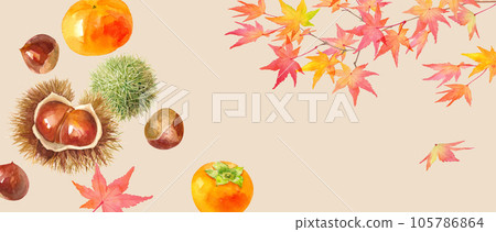 A taste of autumn. Autumn image banner background composed of persimmons, chestnuts and autumn leaves. watercolor illustration. vector. 105786864
