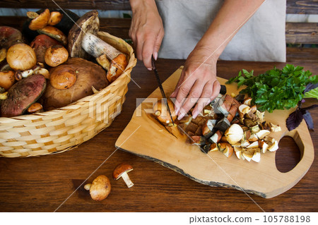 preparation of forest edible mushrooms preparation of forest edible mushrooms 105788198