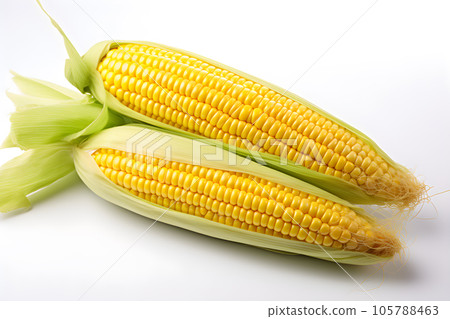 fresh corn isolated on white background Generative AI 105788463