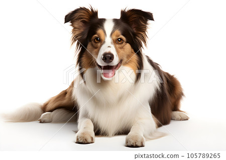 isolated dog on white background Generative AI - Stock Illustration ...