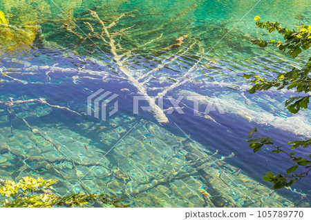 Plitvice Lakes National Park 105789770