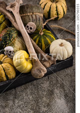 Halloween still life with pumpkin and skull Halloween still life with pumpkin and skull 105790355