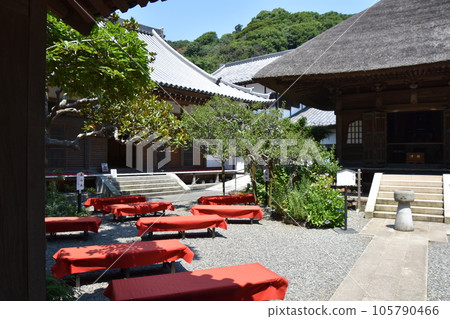 Kamakura Engakuji Temple Opener Mausoleum in early summer 105790466