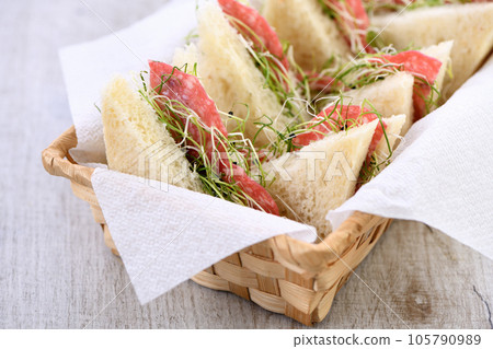 Microgreens sprouts sandwich-healthy food 105790989