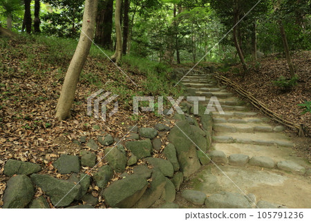 Koishikawa Korakuen, a representative daimyo garden that shows a variety of expressions Koishikawa Korakuen, a representative daimyo garden that shows a variety of expressions 105791236