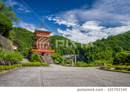 [熊野那智大社]青岸渡寺三層塔和那智瀑布 105791540