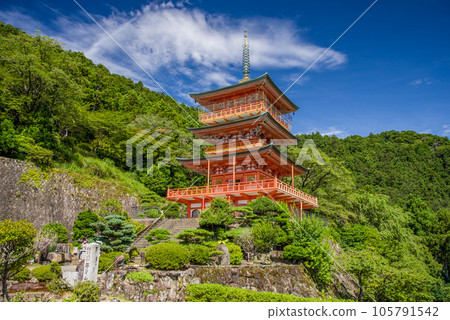 【熊野那智大社】青岸渡寺三層寶塔 【熊野那智大社】青岸渡寺三層寶塔 105791542