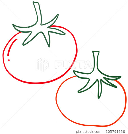 illustration red tomato for decoration 105791638