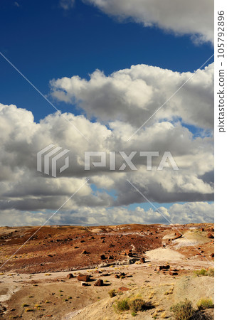 Rugged and Desolate Landscape Petrified Forest Arizona 105792896