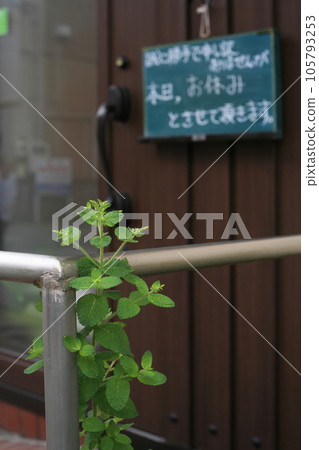 Blackboard and herbs for store holiday information Blackboard and herbs for store holiday information 105793253