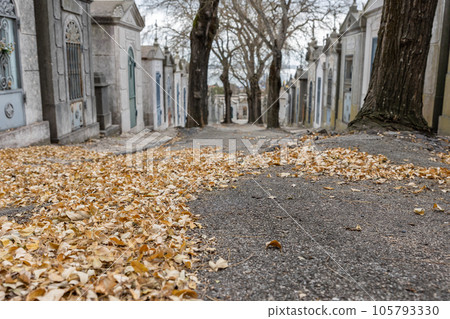 Autumn leaves in the middle of the cemetery 105793330