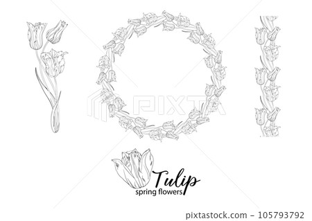 graphic floral arrangements with Tulip flowers. Spring flowers. graphic floral arrangements with Tulip flowers. Spring flowers. 105793792