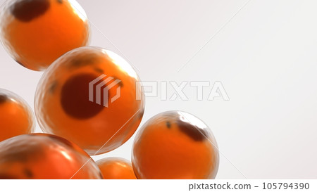 Adipose cells 3d rendered illustration with a free place for text Adipose cells 3d rendered illustration with a free place for text 105794390