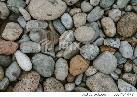 natural texture of cobblestone stones in nature natural texture of cobblestone stones in nature 105794478